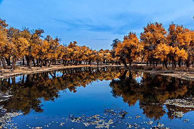 《哈利·波特：魁地奇锦标赛》无微交易 新预告发布